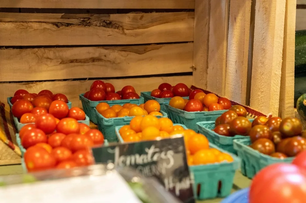 Cherry tomatoes in cartons at a farm stand